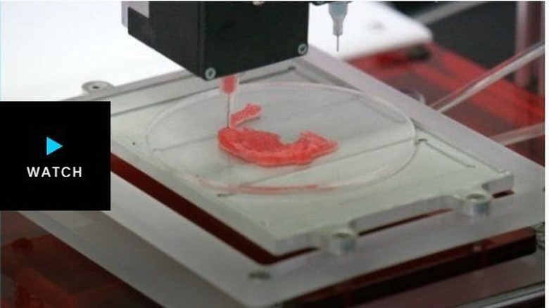 Universitas Australia Ciptakan Telinga Manusia dengan Teknologi Printer 3D Universitas Australia Ciptakan Telinga Manusia dengan Teknologi Printer 3D
