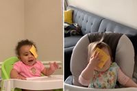 Tren Video Lempar Keju ke Wajah Bayi Jadi Tren Media Sosial