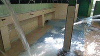 Sumber Air Sendang Kalimah Toyyibah adalah mata air di bawah pohon beringin yang berusia puluhan tahun. Sumber air ini tidak pernah kering meski musim saat kemarau panjang. (Aji Kusuma/detikTravel)