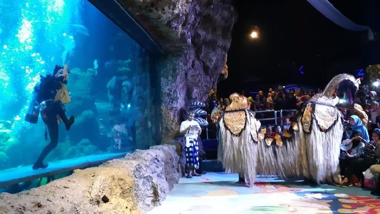 Pertunjukan barongan di sea world ancol (Shinta Angriyana/detikTravel) Pertunjukan barongan di sea world ancol (Shinta Angriyana/detikTravel)