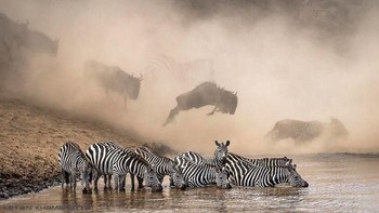 Dari ratusan ribu foto yang masuk Natgeo hanya memilih 10 foto terbaik untuk ditampilkan di Instagramnya. Dan foto inilah yang menjadi pemenang pertama karya fotografer Ketan Khambhatta dengan menyabet grand prize winner of the #natgeo100contest. Ketan akan mendapatkan hadiah berkunjung ke Nat Geo Photo Safari di Tanzania. (Foto: National Geographic)