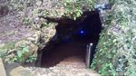 Foto Rekomendasi Wisata di Grobogan: Gua Lawa & Gua Macan