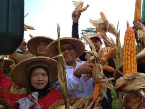 Putus Rantai Tengkulak, Petani & Peternak Bertemu Nego Harga Jagung