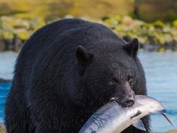 Jepretan Memukau Pemenang Kontes NatGeo di Instagram