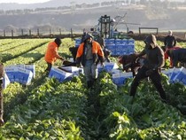 WHV Australia 2025 Resmi Dibuka, Gen-Z yang Ingin Kerja di Aussie Cek Nih!