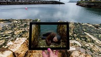 Sebuah desa kecil dan juga pelabuhan di Irlandia Utara dengan airnya yang sangat dingin. Dok. Instagram/sceneframing