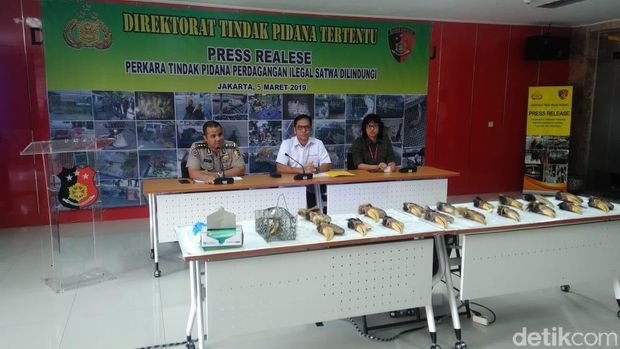 Bareskrim menggelar konferensi pers pengungkapan perdagangan satwa dilindungi.
