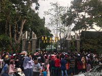 Live! Acara Peluncuran Vivo V15