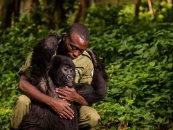 Jepretan Memukau Pemenang Kontes NatGeo di Instagram