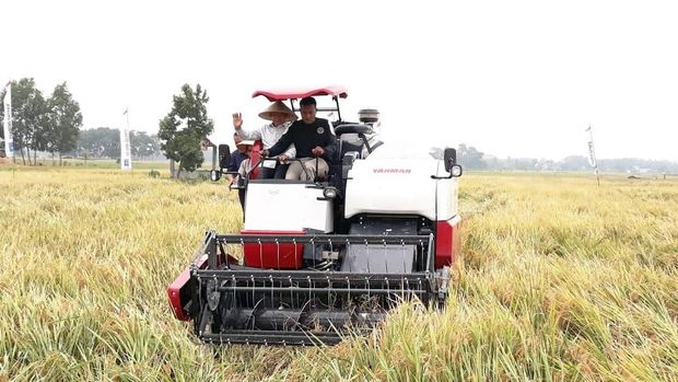 Mengintip Panen Perdana Bebas Pestisida di Oku Timur