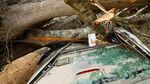 Dahsyat! Tornado Hantam Alabama 23 Orang Tewas