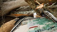 Penampakan mobil rusak parah usai tertimpa pepohonan akibat tornado yang terjadi di Alabama.