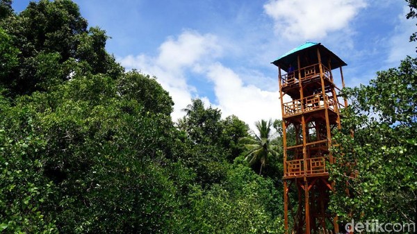 Di tengah hutan mangrove, ada gardu pandang 3 lantai yang bisa dinaiki wisatawan. Di atas gardu ini traveler bisa melihat pemandangan cantik (Wahyu/detikTravel) Di tengah hutan mangrove, ada gardu pandang 3 lantai yang bisa dinaiki wisatawan. Di atas gardu ini traveler bisa melihat pemandangan cantik (Wahyu/detikTravel)