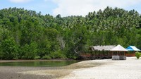 100 Meter dari gardu pandang, traveler akan memasuki Pantai Kahona. Berbeda dengan pantai kebanyakan, pantai ini dipenuhi pecahan karang berwarna putih (Wahyu/detikTravel)  