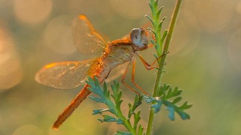 Pria bernama Pawel Plucinski itu sangat menyukai memotret alam dan pemandangan. Istimewa/Dok. Boredpanda.