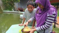 Lembut Wangi! Lezatnya Durian Bakar di Kebun Durian Rajawetan Brebes