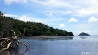 Sejauh mata memandang, hanya pohon mangrove dan kelapa yang terlihat. Suasananya cukup tenang untuk merilekskan pikiran (Wahyu/detikTravel)  