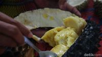 Download 540 Koleksi Gambar Durian Bakar Keren Gratis HD