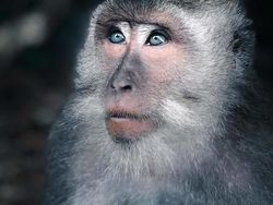 Jepretan Memukau Pemenang Kontes NatGeo di Instagram