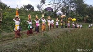 Uang Sesajen Nyepi Dijarah