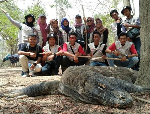 KKN di Komodo