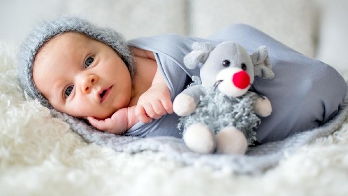 Foto: istock Foto: istock