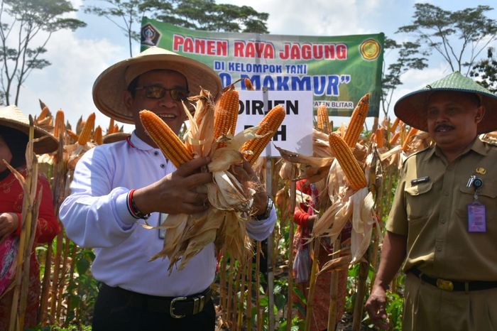 Foto: Dok. Kementan Foto: Dok. Kementan