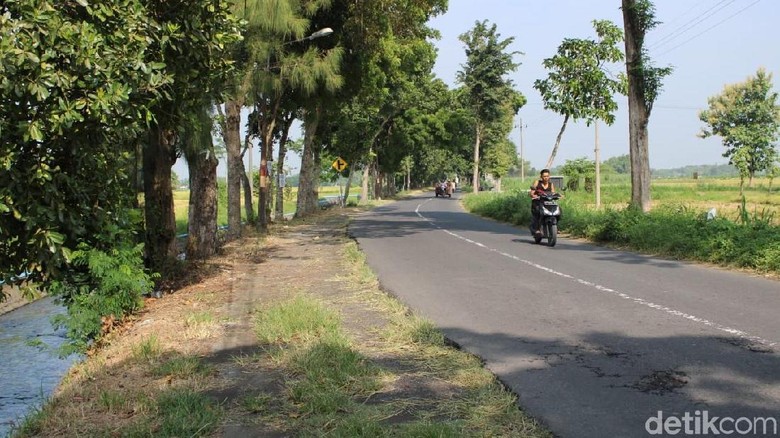 9 Perempuan Ngaku Jadi Korban Begal Payudara di Jombang 9 Perempuan Ngaku Jadi Korban Begal Payudara di Jombang
