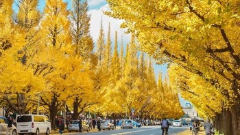 Suasana di tempat yang sama saat ini. Foto: Vintages