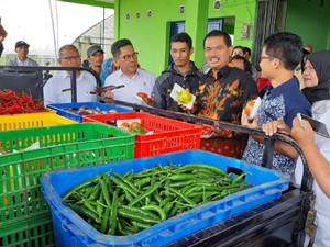 Kementan Dorong Petani Sayuran di Cianjur Naik Kelas