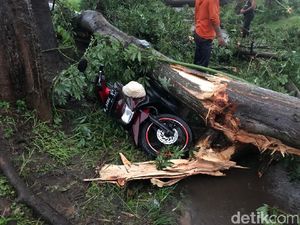 Amukan Dahsyat Puting Beliung di Probolinggo, 1 Orang Tewas