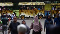 Lainnya memanfaatkan kereta untuk berkeliling area Ragunan. ANTARA FOTO/Sigid Kurniawan.