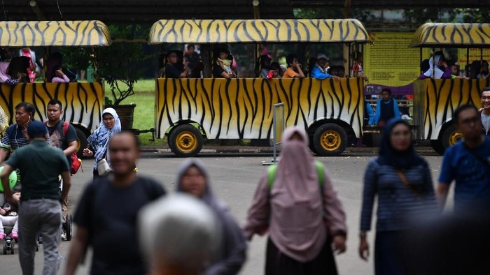 Pengunjung berkeliling dengan kereta di Taman Margasatwa Ragunan, Jakarta Selatan, Kamis (7/3/2019). Taman Margasatwa Ragunan ramai dikunjungi wisatawan yang memanfaatkan libur Hari Raya Nyepi untuk berekreasi bersama keluarga. ANTARA FOTO/Sigid Kurniawan/wsj.