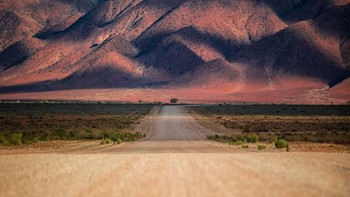 Jawara National Awards Uni Emirat Arab, Paul-Vlad. Foto: Sony World Photography 2019