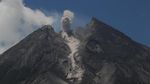 Potret Merapi Muntahkan Awan Panas Hari Ini