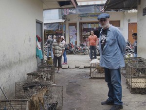 Aktor Inggris Selamatkan Anjing yang akan Dibakar di Pasar Tomohon