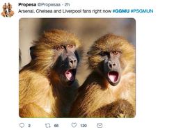 Ada Neymar Tiru Pikachu dalam Ragam Meme MU Singkirkan PSG