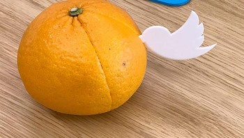 Twitter jadi pengupas kulit jeruk. Foto: Taku Omura via Brainberries