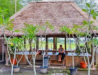 Yuk, Leyeh-leyeh dan Makan Enak di 5 Resto yang Asri dan Sejuk Ini