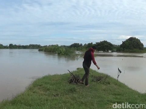 Sungai Bengawan Solo meluap di Lamongan