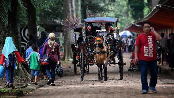 Pengunjung berkeliling dengan kereta di Taman Margasatwa Ragunan, Jakarta Selatan, Kamis (7/3/2019). Taman Margasatwa Ragunan ramai dikunjungi wisatawan yang memanfaatkan libur Hari Raya Nyepi untuk berekreasi bersama keluarga. ANTARA FOTO/Sigid Kurniawan/wsj.