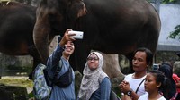 Tak hanya Ancol, beberapa warga Jakarta juga memadati Taman Margasatwa Ragunan, Jakarta Selatan. ANTARA FOTO/Sigid Kurniawan.
