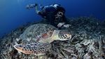 Foto yang Bikin Kamu Ingin Liburan ke Lombok