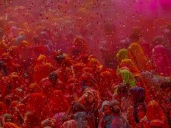 Karya Fotografer Indonesia Jawara Sony World Photography 2019