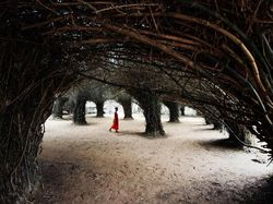 Karya Fotografer Indonesia Jawara Sony World Photography 2019