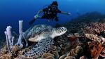 Foto yang Bikin Kamu Ingin Liburan ke Lombok