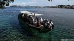 Meraup Untung Lewat Perahu Tradisional Pembelah Laut Jawa