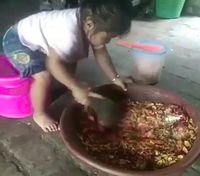 Pintar! Aksi Balita-balita yang Jago Masak Ini Bikin Kagum 