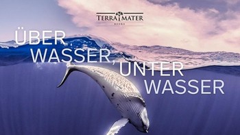  Underwater Photography Book of The Year 2019 karya Tobias Friedrich.  Foto: Underwater Photographer of The Year