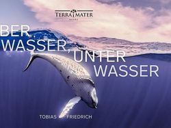 Karya Memukau Jawara Underwater Photographer of The Year 2019